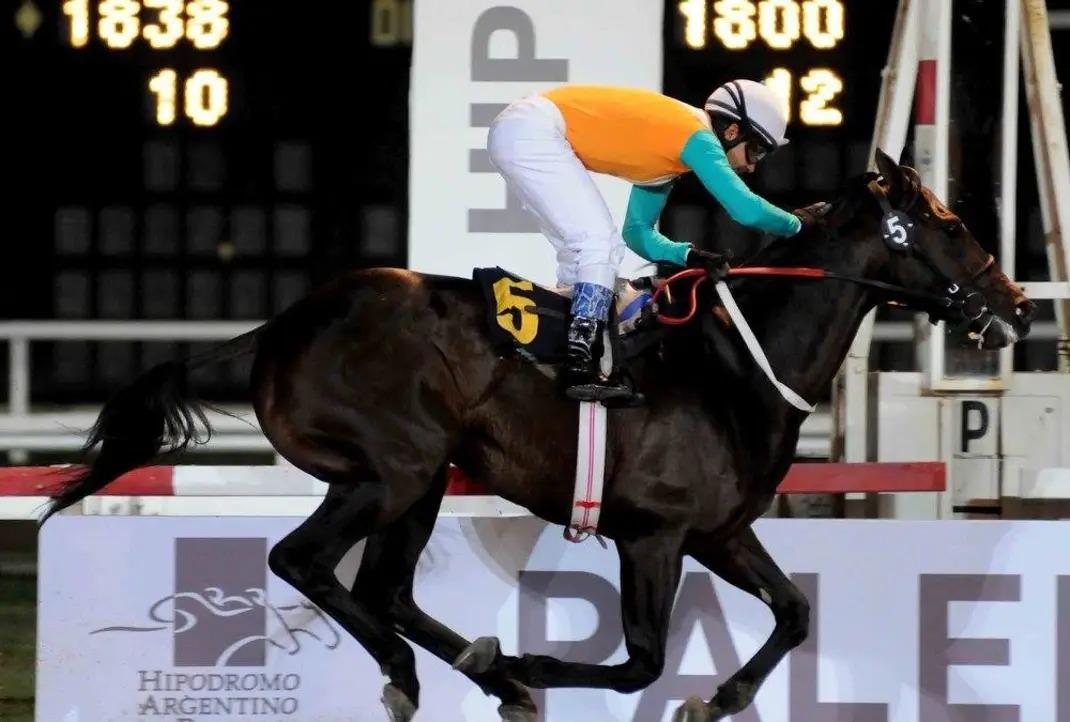 Jockey con los colores de Haras Dilu en el Hipódromo Argentino de Palermo
